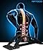 Back Massager, Aptoco Back Stretcher for Sciatica Relief, Herniated Disc/Spinal Stenosis-Back Massage Stretcher, Back Stretching Device