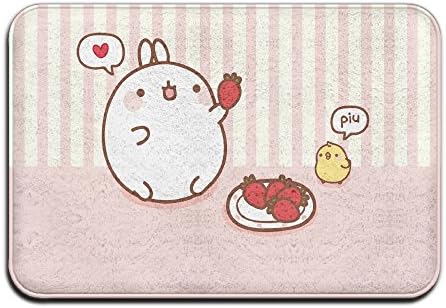 Linlimin Shop Cute Cartoon Rabit Personalized Durable Machine Washable Indoor/Outdoor Door Mat 23.6"(L) X 15.7"(W) Inch