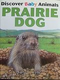 Hardcover Prairie Dog (Discover Baby Animals) Book