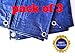 ( Pack of 3) 4'x6' Tarp - Multipurpose Cover, Great Tent For Gardening Camping Traveling Weather-Resistant Small Size Tarpaulin (Pack of 3)