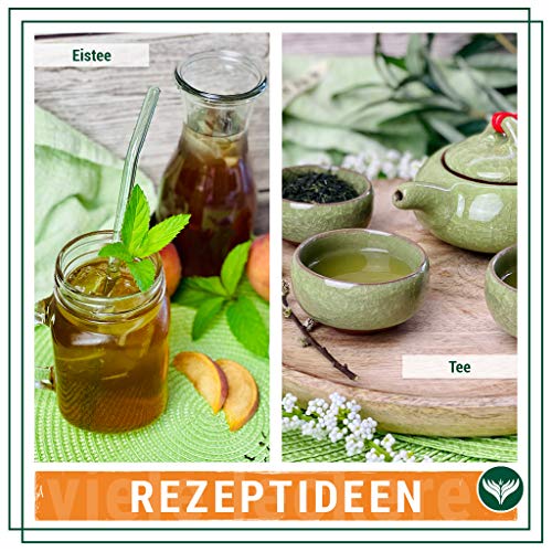 Azafran Grüner Tee - BIO Sencha Grüntee lose geschnitten - Original Uchiyama aus Japan 250g – Bild 6