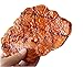 Transcend11 Fake Cooked Steak Faux Simulation Lifelike Meat Food Home House Party Kitchen Cabinet Desk Decoration Hotel Store Display Model Photography Props Kids Play Food Toy