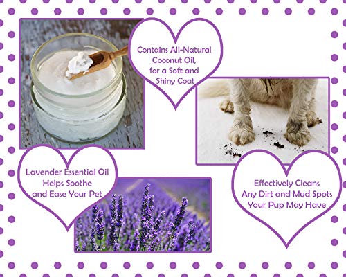 Speak Pet Products Natural Moisturizing Deodorizing Calming Lavender Daily Use Dog Waterless Bath Spray with Coconut Oil… - Image 4