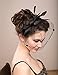vimans Women's Bowknot Feather Detachable Cocktail Party Veil Fascinator Hair Clip Hat Black