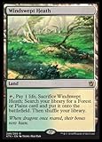 Magic: the Gathering - Windswept Heath (248/269) - Khans of Tarkir