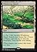 Magic: the Gathering - Windswept Heath (248/269) - Khans of Tarkir