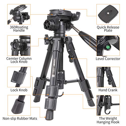Zomei Q100 Mini Travel Tabletop Tripod Tabletop Tripod with 3-Way Pan/Tilt Head 1/4 inches Quick Release Plate and Bag for DSLR Camera Tripod Carrying Bag (Black)