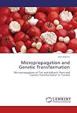 Image de Micropropagation and Genetic Transformation: Micropropagation of Tori and Kalkeshi Plant and Genetic Transformation in Tomato
