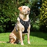 Lifepul(TM) Front Range No Pull Dog Vest Harness - Dog Body Padded Reflective Vest with Handle - Oxford Material Vest for Dogs Comfort Control for Small Medium Large Dogs in Training &Walking