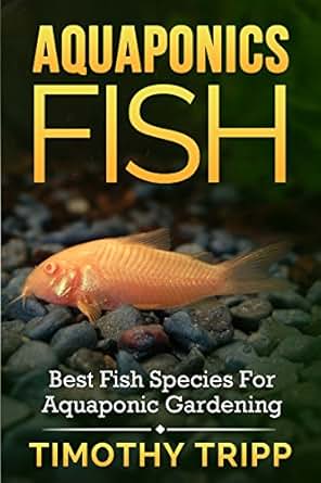 aquaponics fish: best fish species for aquaponic gardening
