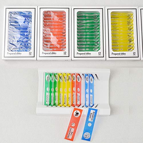 image for Yinpinxinmao 12Pcs DIY Specimen Microscope Slides Children Biology Sci