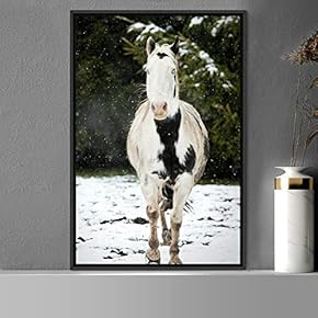 signwin Framed Canvas Wall Art Horse Animals Dramatic...