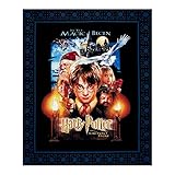 Harry Potter Sorcerer's Stone Digital Poster 36in Panel Multi Fabric