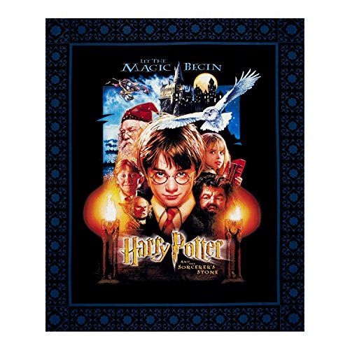 Harry Potter Sorcerer's Stone Digital Poster 36in Panel Multi Fabric