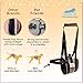 Veterinarian Approved Dog Support Harness + Hair Remover Glove - Dogs Sling Lift for Paralyzed Legs - Adjustable Straps - Mobility Rehabilitation for Injured Arthritis Elderly Disabled - XL breed