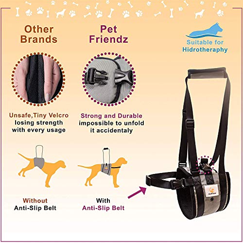 Veterinarian Approved Dog Support Harness + Hair Remover Glove Dogs