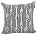 Accent Home Cotton Canvas Throw Cushion Cover Printed Both Side For Home Sofa Couch, Chair Back Seat,4pc pack 18x18