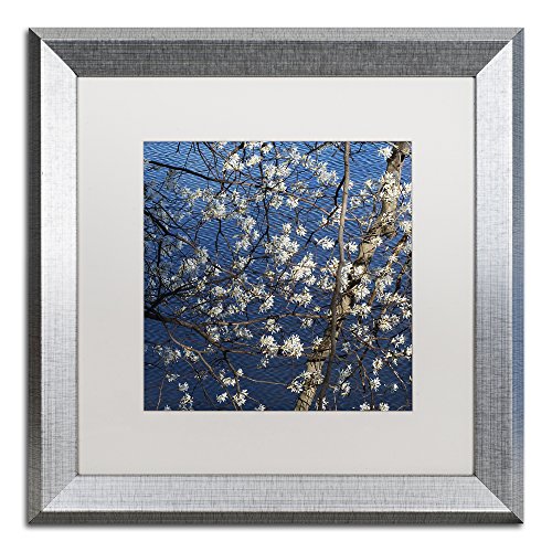 Trademark Fine Art Springtime at the Lake by Kurt Shaffer, White Matte, Silver…