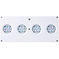 AquaIllumination Hydra 64 LED Aquarium Light - Full Spectrum Lighting for Coral Growth, Wireless Control, High PAR Output, Energy Efficient - for Saltwater Reef Tank Aquariums - White
