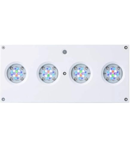 Amazon.com: Ai Hydra