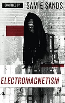 Electromagnetism by [Sands, Samie, Hall, Kevin, Davis, L, Smith, Martin, Lucas, Andrew, Winck, Alex, Iain, T, Richardson, McKenzie, Velarde, Sheri, Shepherd, Rob]
