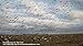 Sillosocks Juvy Snow Goose Decoy (12-Pack), White