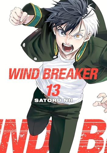 WIND BREAKER 単行本 WIND BREAKER 12: Nii, Satoru: 9781646519590: Amazon.com: Books