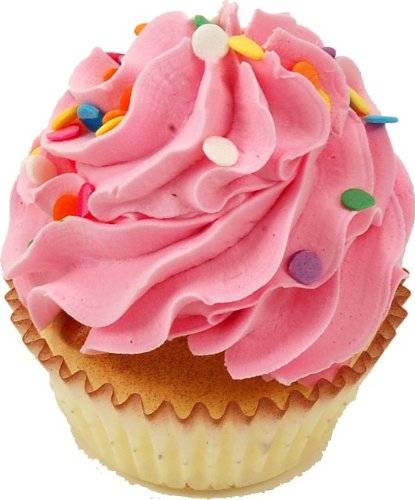 Fake Cupcakes 6 Pack Cupcake