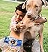 KONA'S CHIPS Chicken Jerky Crunch Sticks Dog Treats, Crunchy Dog Chicken Jerky Treats,