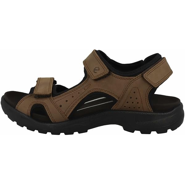 Amazon.com | ECCO Men display picture 1