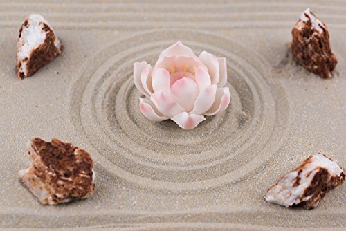 ICNBUYS Zen Garden Pink Ceramics Lotus Special 4 pieces of Red White Stones Dark Ochre Sand and Free Rakes and Pushing Sand Pen Base Tray Dimensions 10 x 0.4 x 7 inches