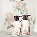 [DAENG GI MEO RI] JINYOON Shampoo for Oily Scalp 400ml / Anti Hair Loss, Sebum Control and Cooling Effect