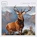 National Galleries Scotland Wall Calendar 2019 (Art Calendar) by 