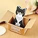 Fascola Mini Cute Cartoon Kawaii Cats and Dogs Memo pad Box Sticky Notes for Kids Gifts Post It Note Office Supplies ,Pack of 5
