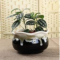 Sulin Mini Flower Container Flow Glazed Ceramic Product Indoor Plant Pot,D