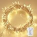 36ft 100 LED Battery Operated String Lights with Auto-Timer for Outdoor Garden Patio Lawn Party (IP65 Waterproof, 8 Modes, 120 Hours of Lighting, Warm White)