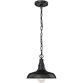 ML Lighting 1-Light Outdoor Hanging Lantern Powder Coated Black