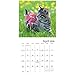 2018 Kittens Wall Calendar (Mead)