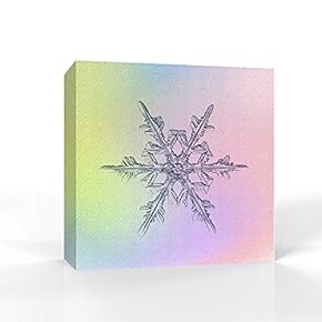 Canvas Wall Art - Snowflake Theme - Modern Home Art Stretched and Framed Ready to Hang - 12x12 inches