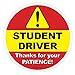Student Driver Window Clings (1 Pack) - 6