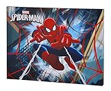 Edge home Products V2K5SP2 Ultimate Spider-Man 10x13.5 Canvas Wall Art