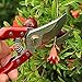 THANOS Bypass Hand Pruners for Gardening, Arboriculture, Farming, Flower Arranging, Pruning Shears with Ergonomic Handles,SK-5 Steel Blade,Garden Clippers with Shock-Absorbent Spring & Safety Lockthumb 4
