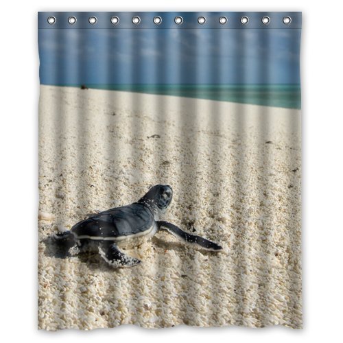 Sea Turtle Shower Curtains Kritters in the Mailbox Sea Turtle