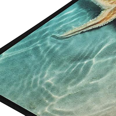 Doormat Area Rug Starfish Seashell On Beach for Bedroom Front Door Kitchen Indoors Home Decors 516B2ij34bL