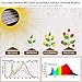 CXhome 80 LEDs Grow Light Plant Light Strips with 10 Dimmable Brightness LED Grow Lamp with Full Spectrum 3 Switch Modes Auto ON/Off 3/9/12H Timer Adjustable Gooseneck & Desk Clip for Indoor Plant