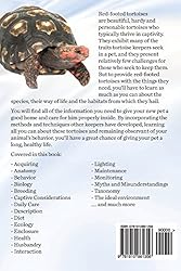 Red-Footed Tortoise. Red-Footed Tortoise Pet