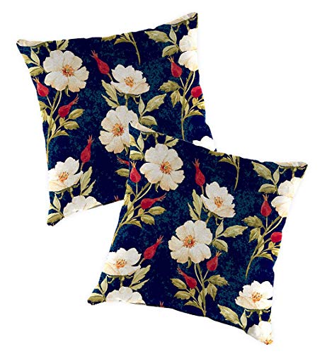 516BDG %2BdRL 516BDG %2BdRL