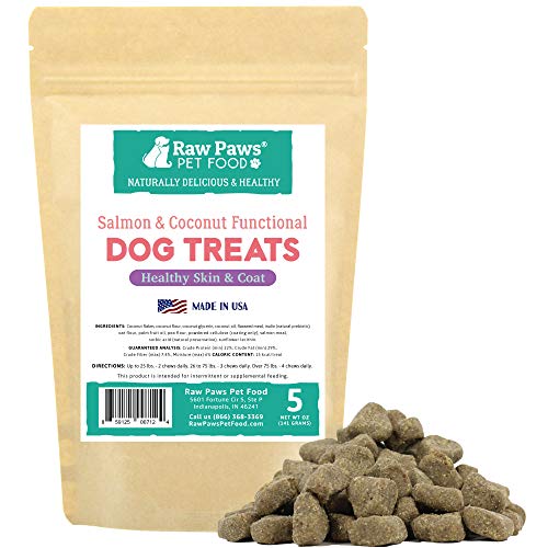 Raw Paws Omega 3 Chews for Dogs, 5-oz/50-ct - USA Made - Coconut & Salmon Dog Treats, Soft Skin Chews - Itchy, Dry Skin Dog Treats Help Support a Healthy Dog Coat - Skin and Coat Supplement for Dogs