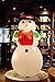 Fanshunlite Christmas Inflatable 8 FT Snowman with Hat Lighted Blow-Up Yard Party Decoration for Xmas Inflatable Outdoor Indoor Home Garden Family Prop Yard