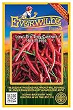 Everwilde Farms - 50 Cayenne Long Red Hot Pepper